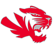 Hamilton Southeastern Football
